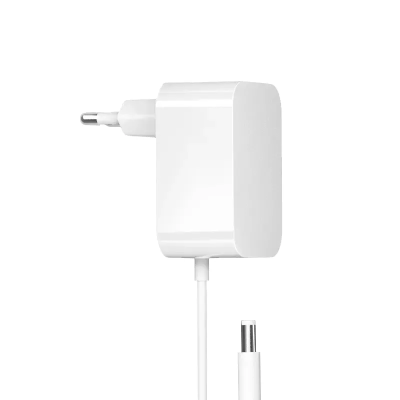 Zasilacz UE z wtyczką 24 W 12 V 2 A do montażu na ścianie